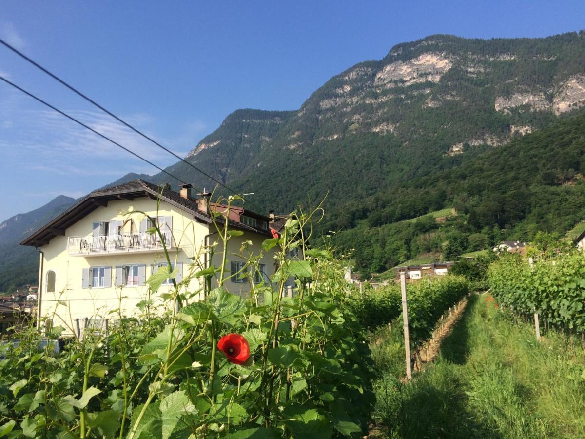 Strengen Guesthouse Caldaro Exterior photo